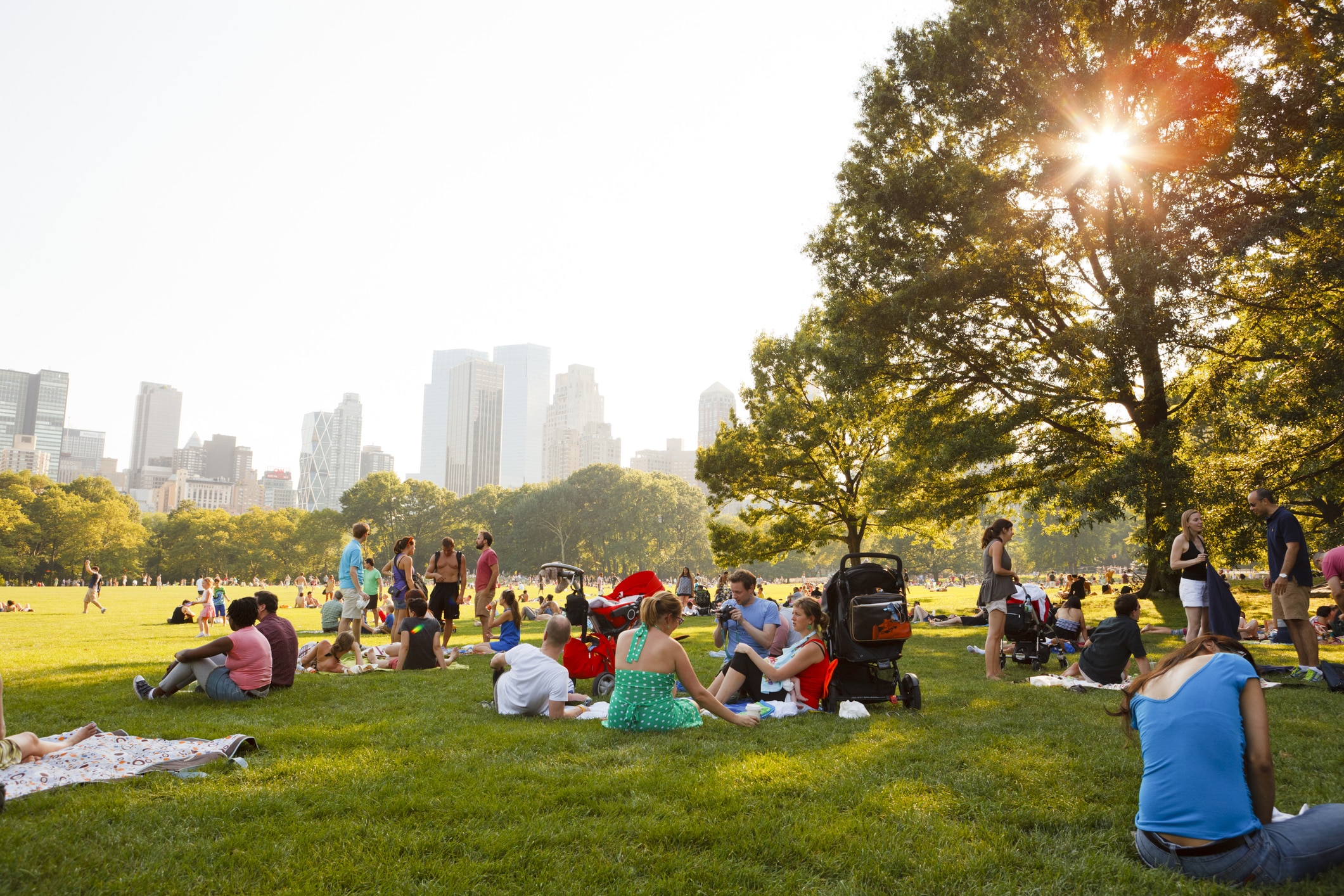 People relax on the grass in a large city park with trees and skyscrapers in the background. The sun shines through the branches of a tree, and scattered groups sit on blankets enjoying the warm weather.