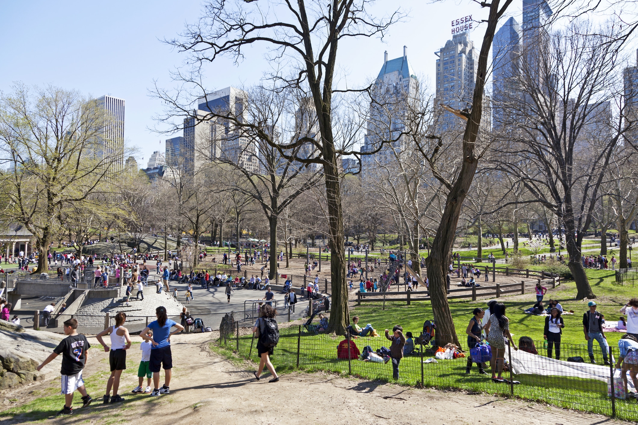 People gather and relax in a park with leafless trees. Some sit on grass while others walk or stand. Tall buildings are visible in the background under a clear sky.