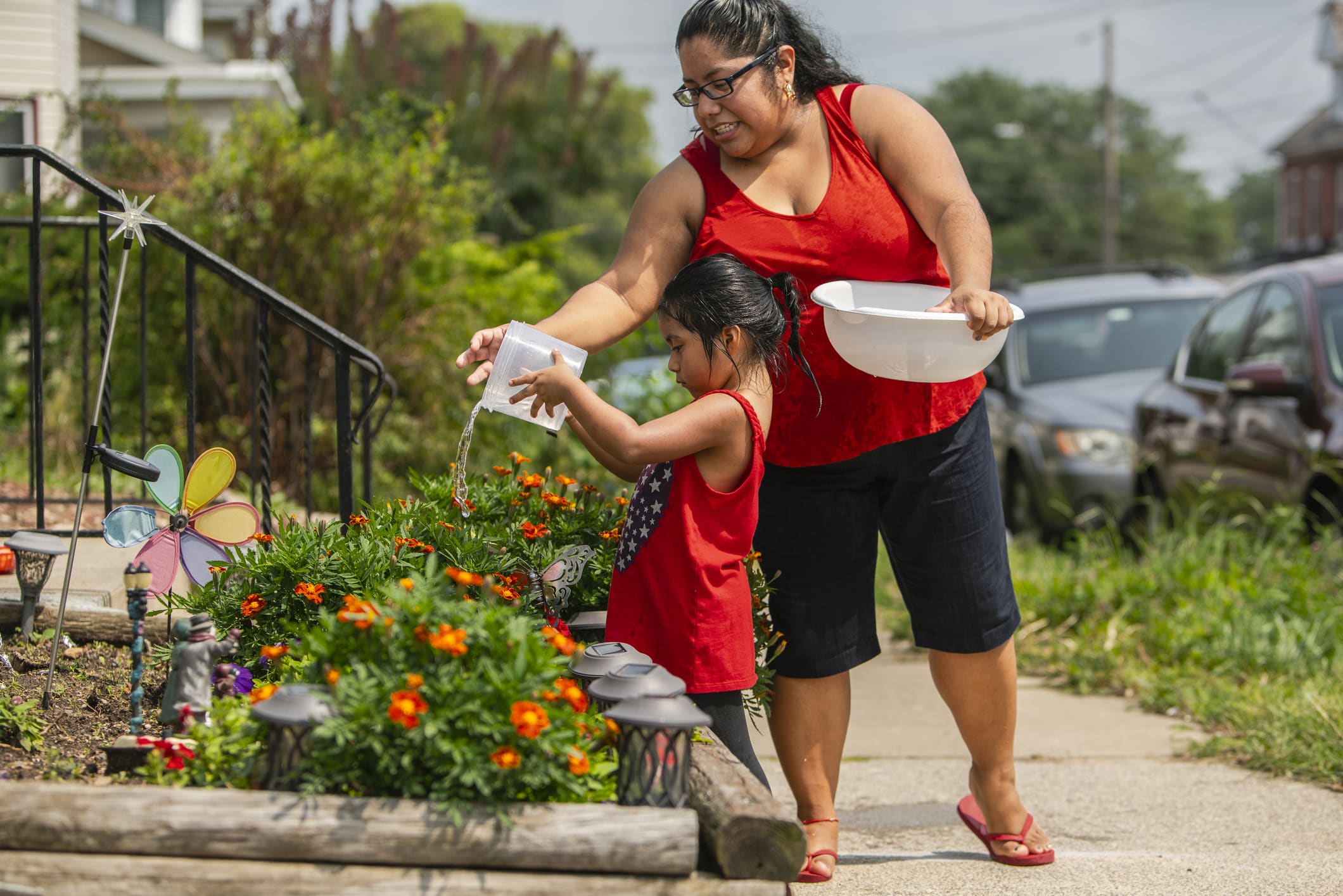 An adult and a child water orange marigold flowers in a garden next to a sidewalk. Both wear red tops. It is a sunny day, and cars and houses are visible in the background.