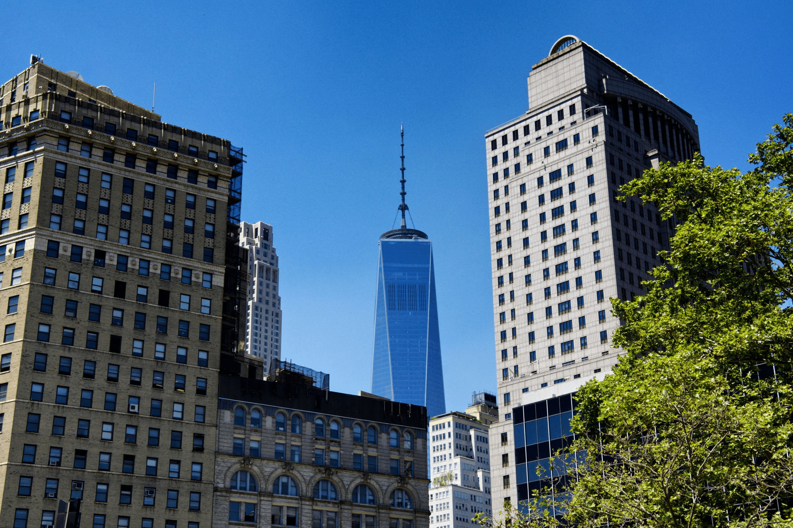 Several tall office buildings and skyscrapers stand against a clear blue sky, with the glassy One World Trade Center visible in the background, partially framed by other buildings and leafy green trees.