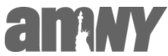 The word amNY in bold gray letters, with the silhouette of the Statue of Liberty forming part of the letter M..